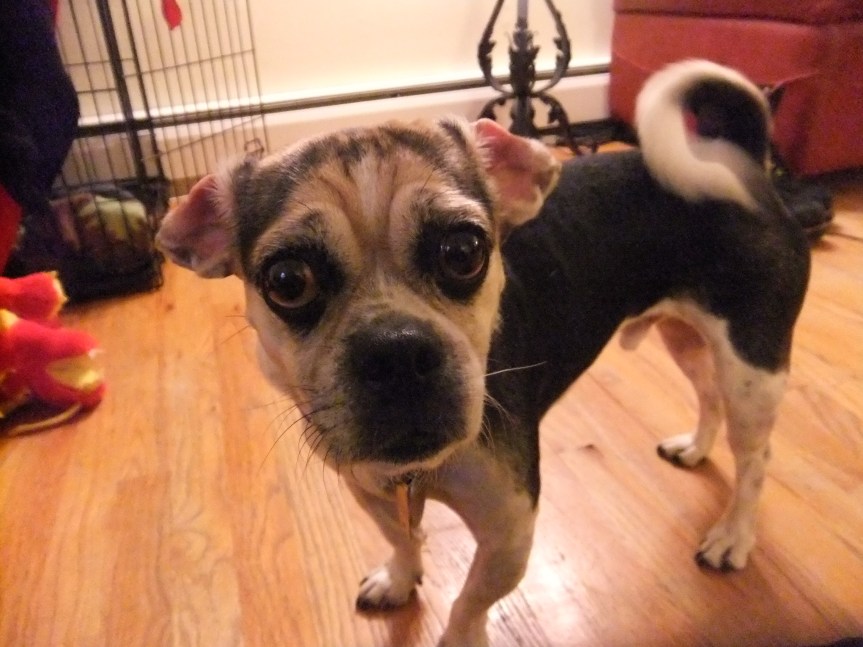 Hey. It's One & Done Sunday.