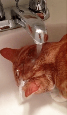 Screen Shot 2013-02-17 at 10.25.31 AM