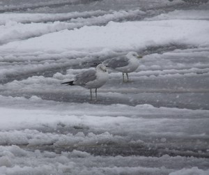 We know why you're here. Get a room!