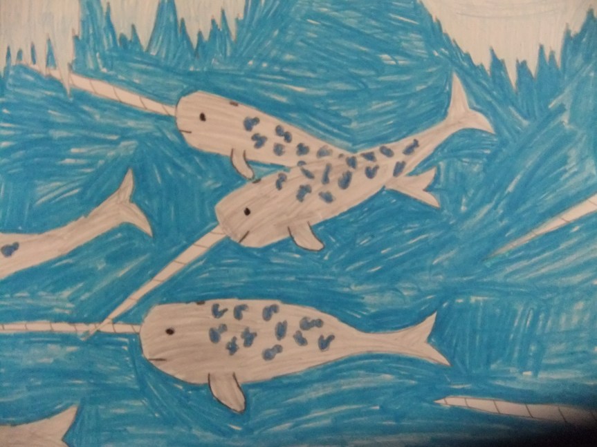 One Narwhal Sunday