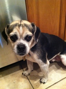 It really makes me uncomfortable when you do that.