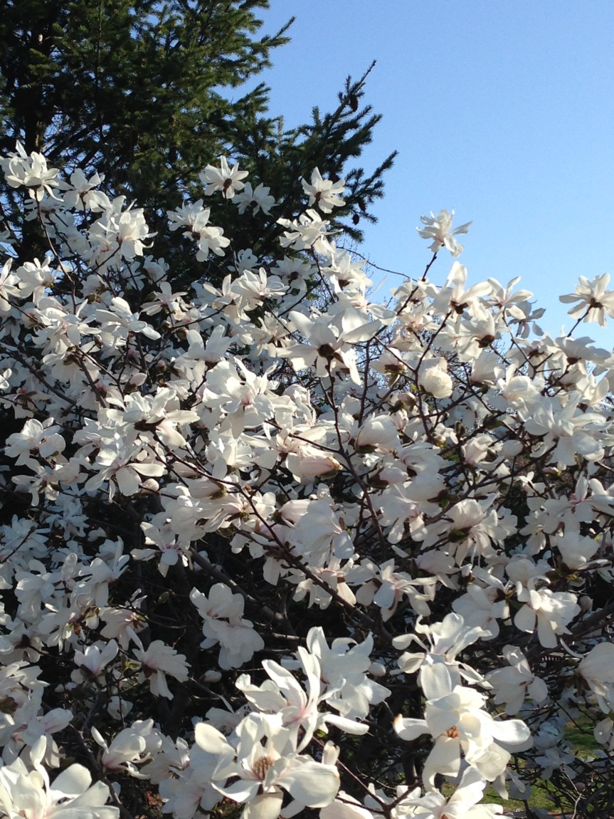 The Difference Between Me and&nbsp;Martha