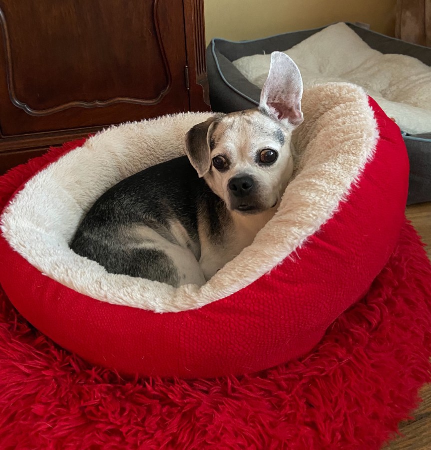 I Don’t Say. .&nbsp;.