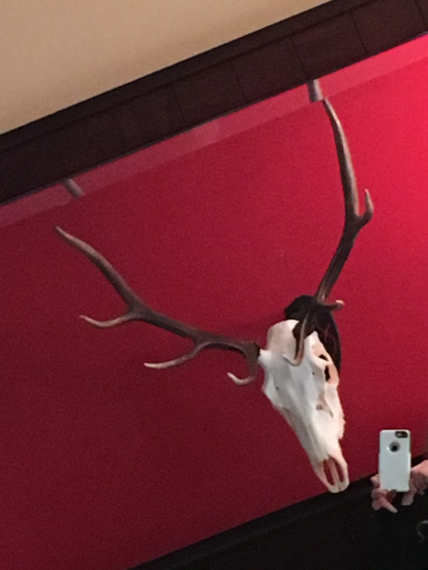 Felt cute, might relocate&nbsp;later.